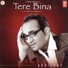 Abhijeet Songs Download Free Tere Bina Free